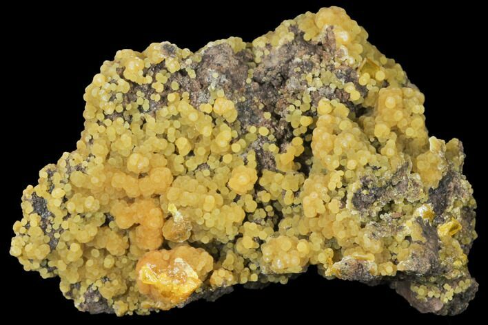 Wulfenite and Botryoidal Mimetite Association - Mexico #127400